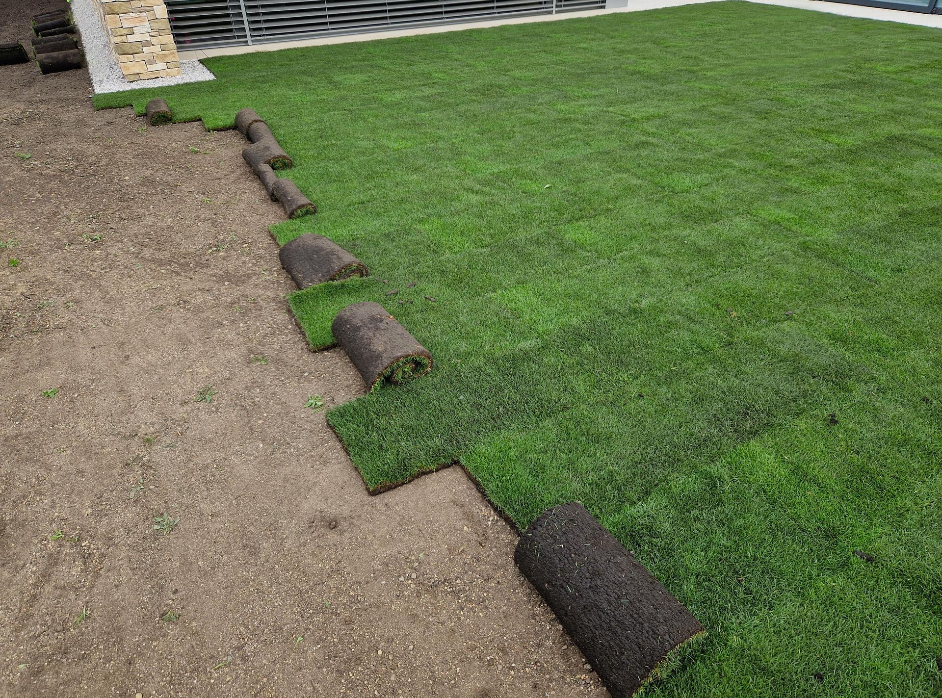 Sod installation Monmouth County transforming bare yard into green lawn
